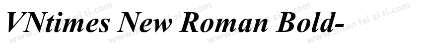 VNtimes New Roman Bold字体转换